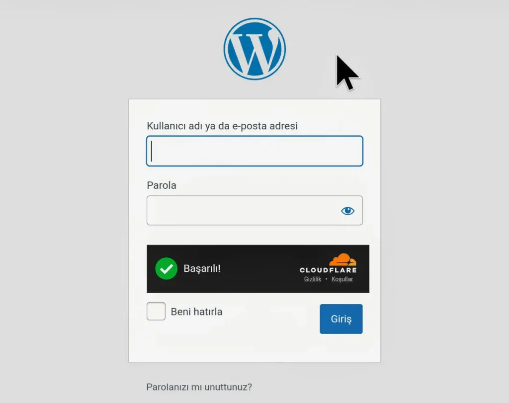 Wordpress güvenliği 9 Cloudflare TrunsStile onay ekranı