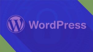 wordpress güvenlik kapak
